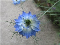 f0ab58b1-Picture 772.jpg